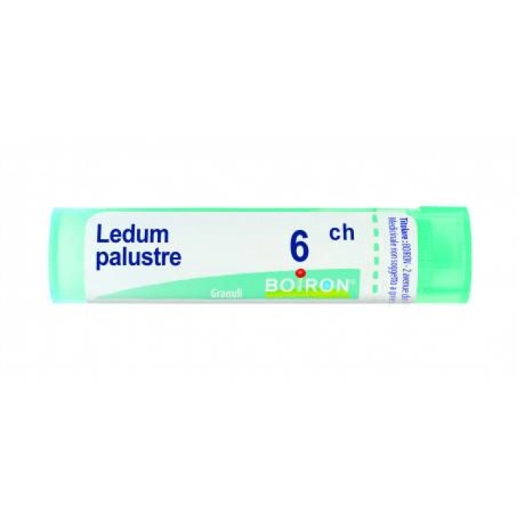 Boiron Ledum Palustre 6ch Homöopathisches Granulat