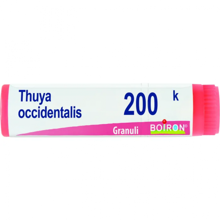 Thuya Occidentalis 200 k Boiron Granulat 4g