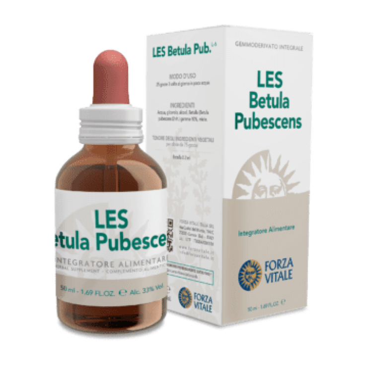 Lebenskraft Les Betula Pubescens 50ml