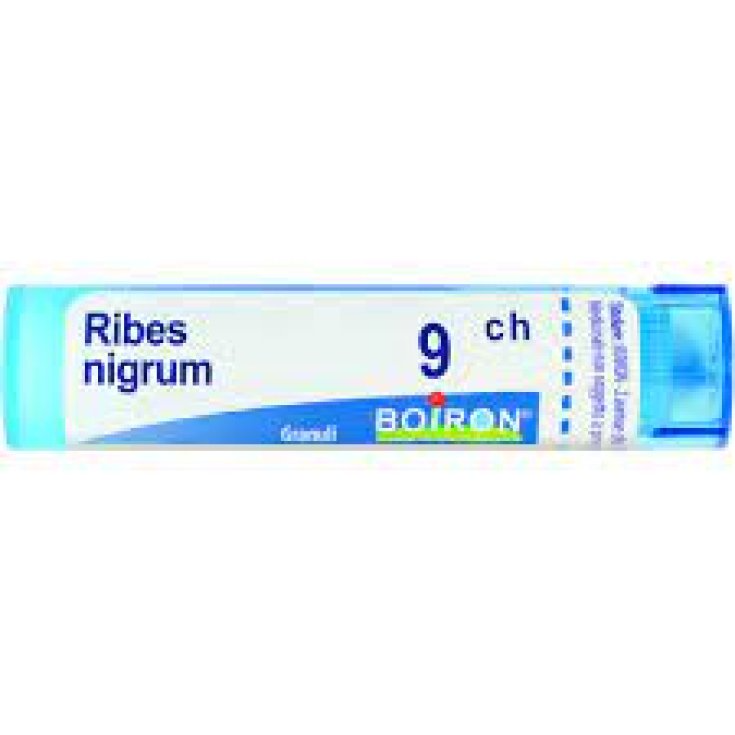 Ribes Nigrum 9 ch Boiron-Granulat 4g