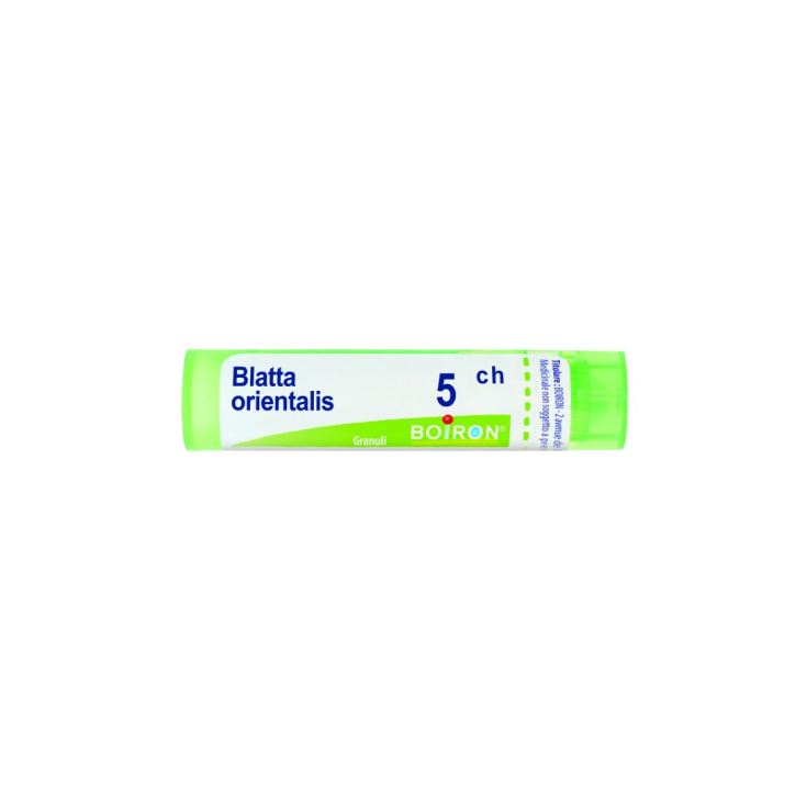 Boiron Blatta Orientalis 5CH Granulat Homöopathische Medizin 4g