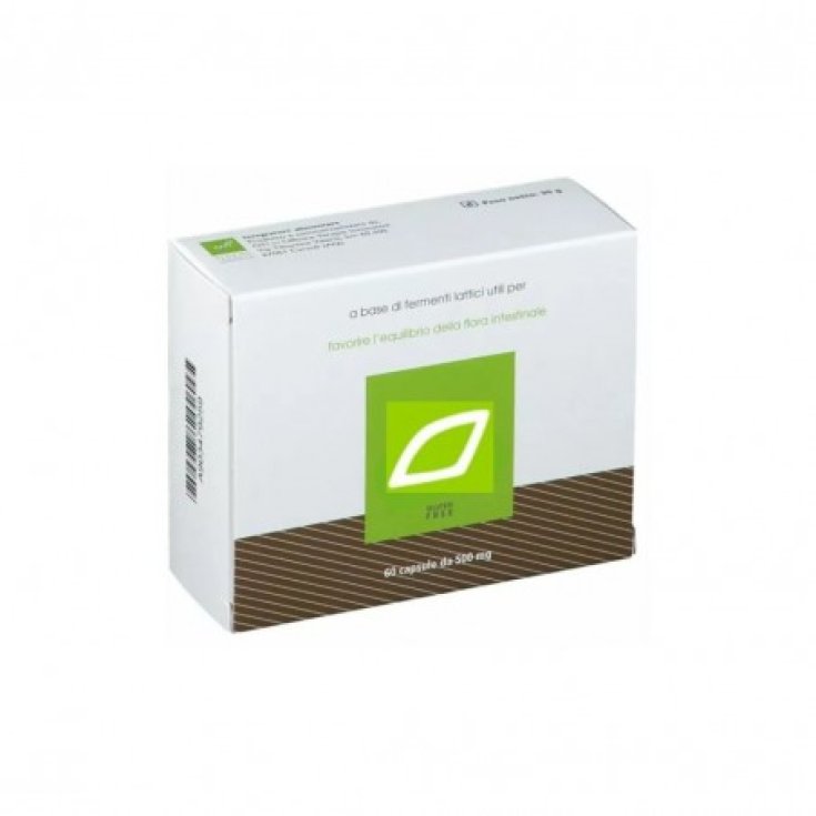 Oti Arnica Compound Nahrungsergänzungsmittel 60 Tabletten