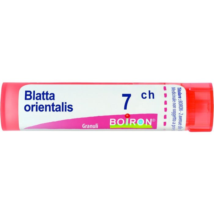 Kakerlake Orientalis 7ch Boiron Granulat 4g