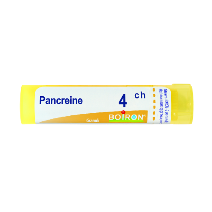 Pancreine 4ch Boiron Granulat 4g