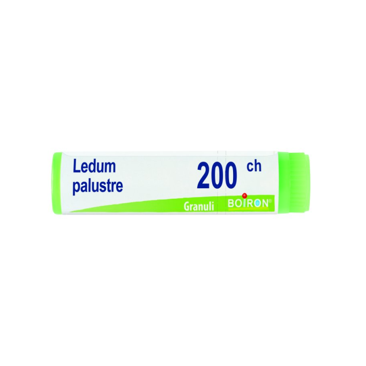 Ledum Palustre 200ch Boiron-Granulat