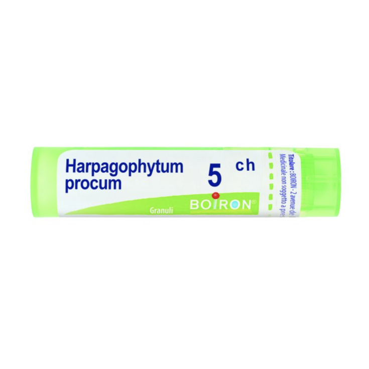 Harpagophytum Procum 5ch Gr