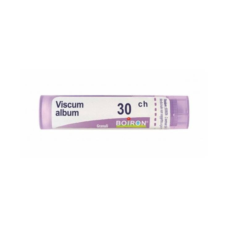 Viscum Album 30 ch Boiron Granulat 4g