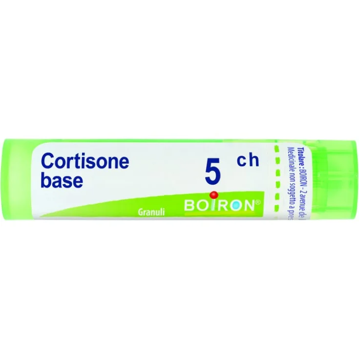 Kortisonbasis 5ch Boiron Granulat