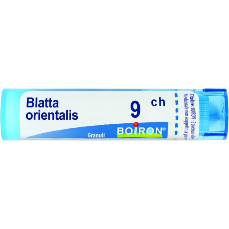 Kakerlake Orientalis 9ch Boiron Granulat 4g