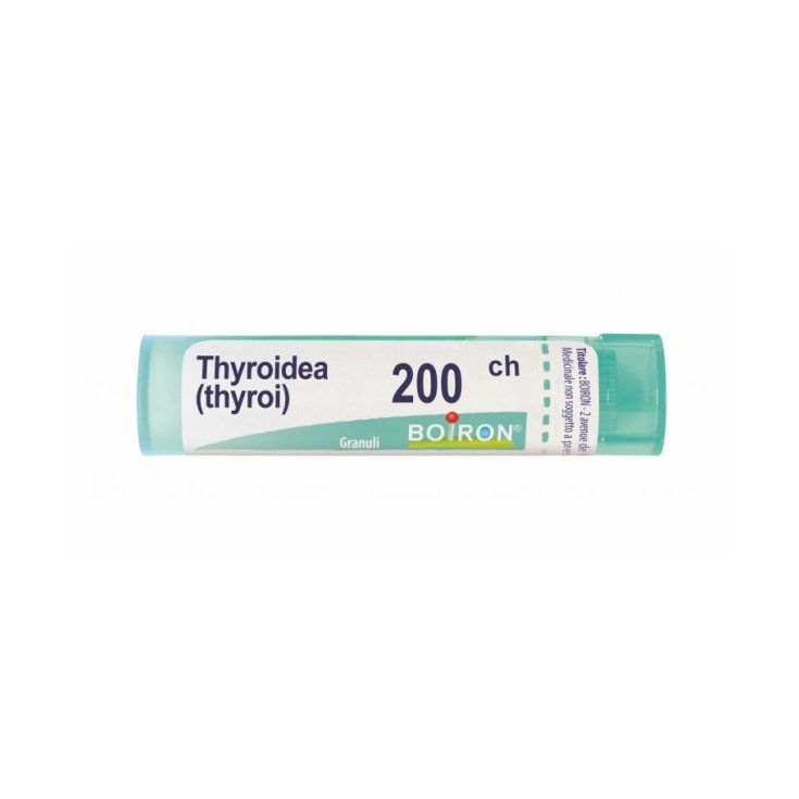 Thyroidinum 200 ch Boiron Granulat 4g
