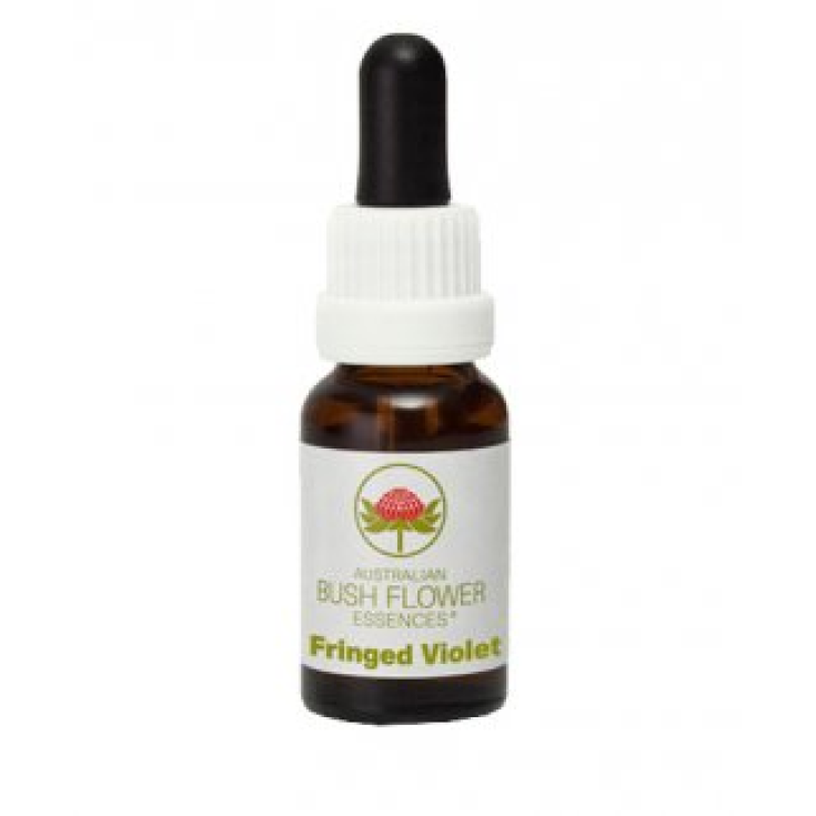 Natur Gefranste Veilchen Essenz 15ml