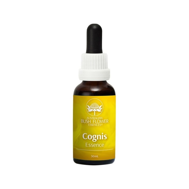 Natur Cognis Essenz 30ml