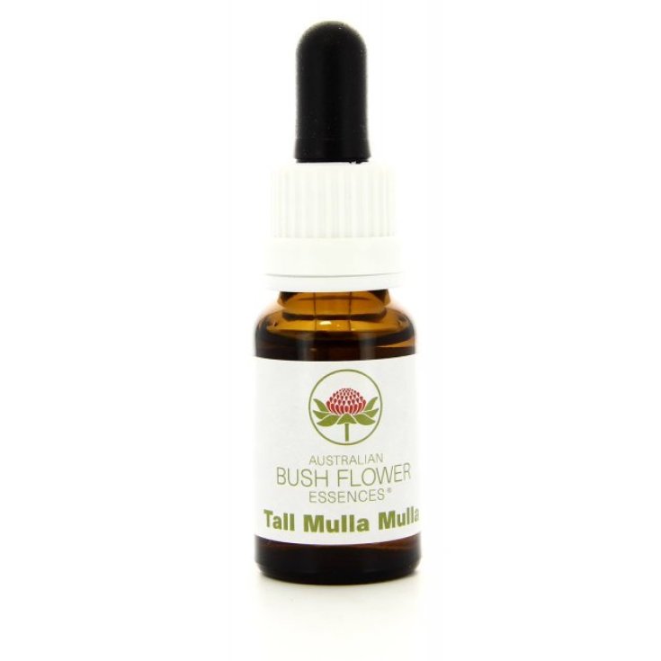 Natur Tall Mulla Mulla Essenz 15ml