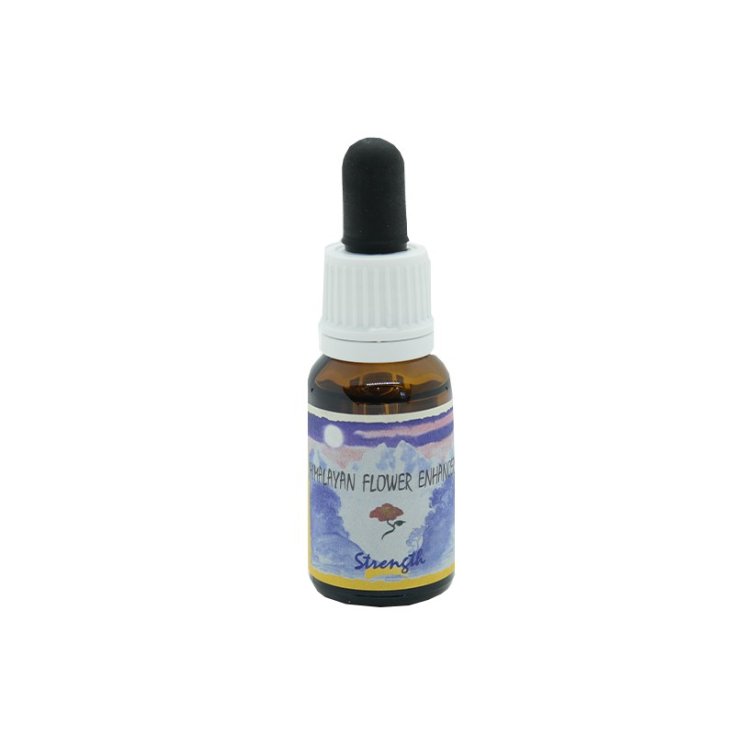 Natur Kraft Essenz 15ml