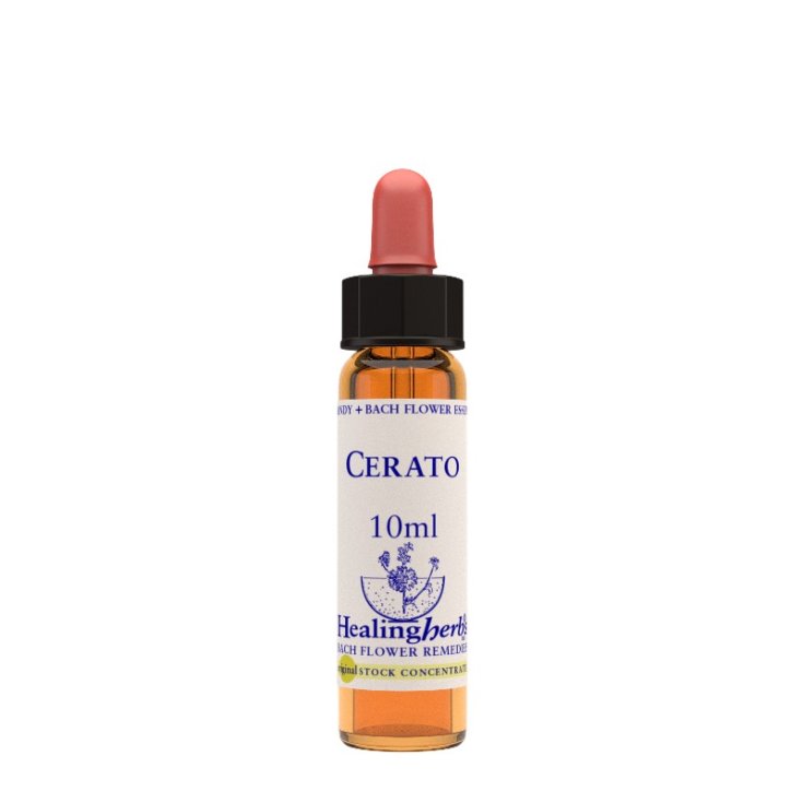 Natur Cerato Blütenessenz 10ml