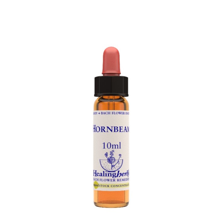 Natur Hainbuchen Essenz 10ml