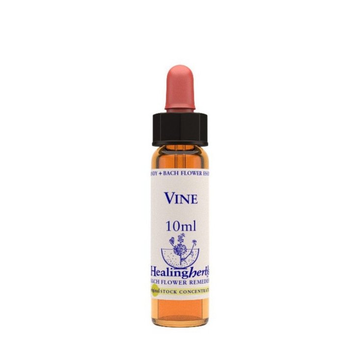 Natur Vine Blütenessenz 10ml