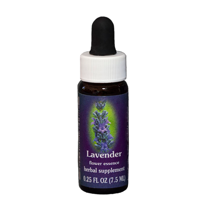 Natur Lavander (Lavandula Officinalis) Kalifornische Essenzen 7,4ml