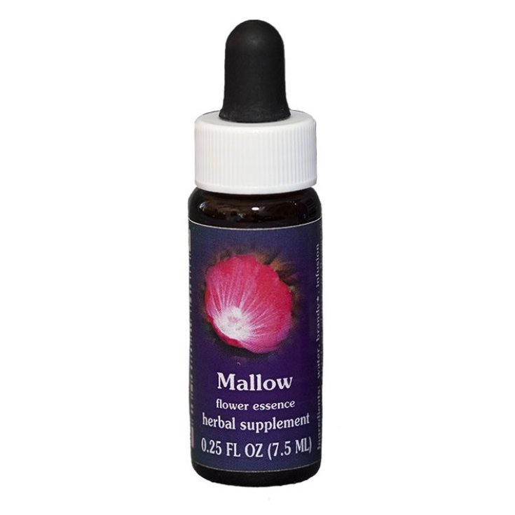 Natur Malve (Sidalcea Glauscens) Kalifornische Essenzen 7,4ml