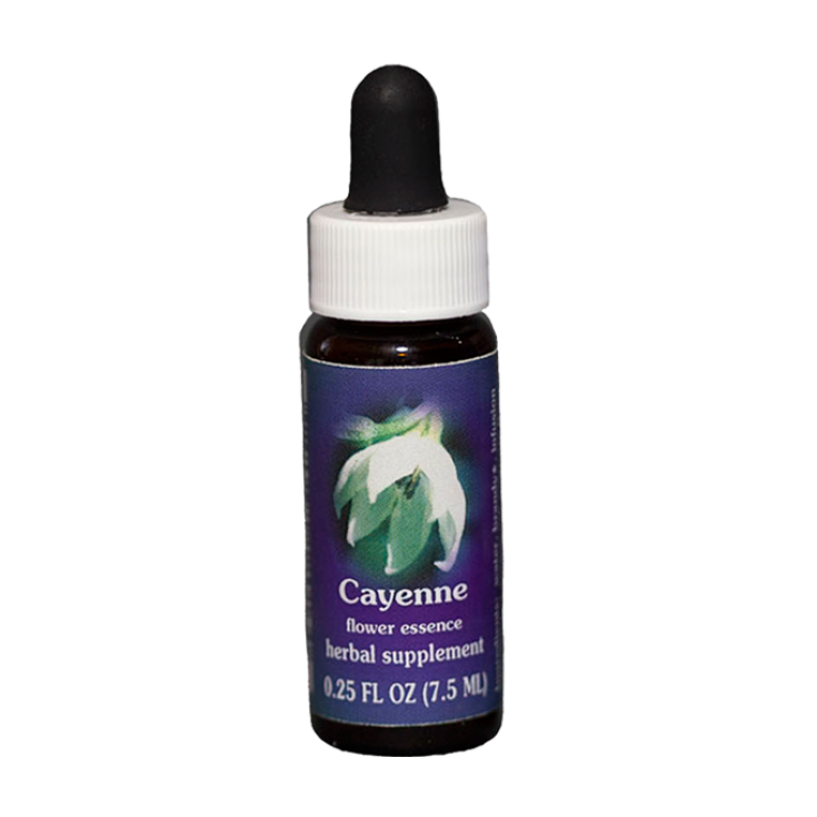 Natur Cayenne (Capsicum Annum) Kalifornische Essenzen 7,4ml