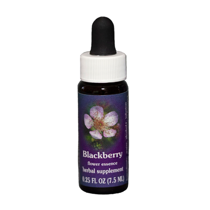 Natur Brombeere (Rubus Ursinus) Kalifornische Essenzen 7,4ml