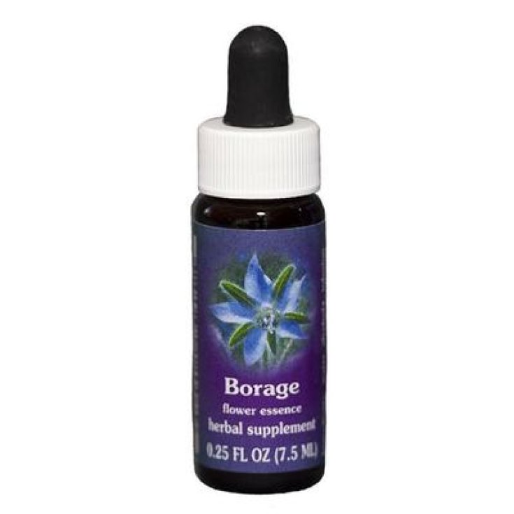 Natur Borretsch (Borago Officinalis) Kalifornische Essenzen 7,4ml