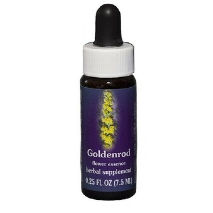 Natur Goldrute (Solidago Californica) Kalifornische Essenzen 7,4ml