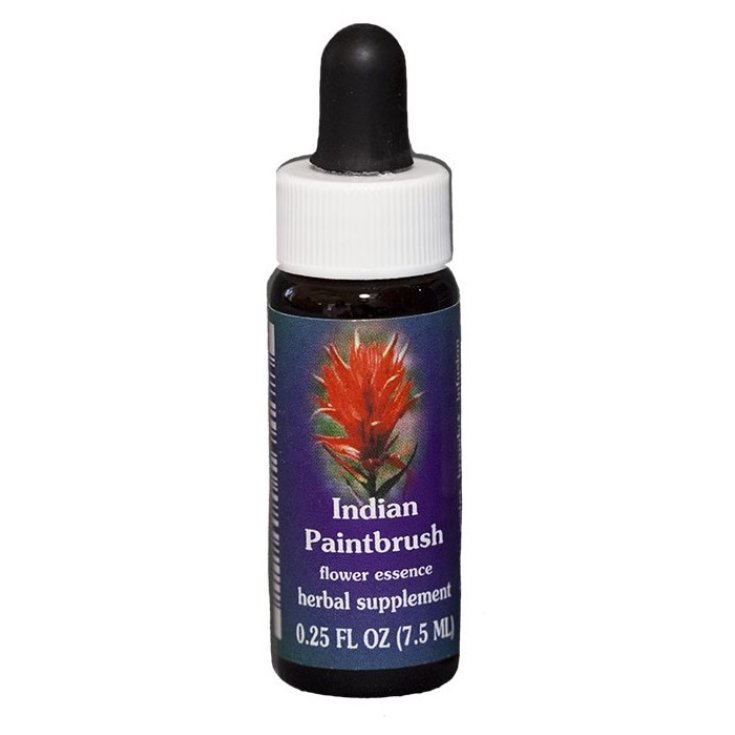 Natur Indischer Pinsel (Castilleja Miniata) Kalifornische Essenzen 7,4ml