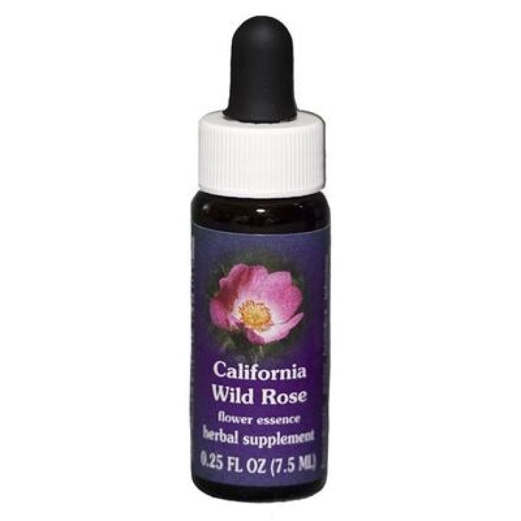 Natur Kalifornische Wildrose (Rosa Californica) Kalifornische Essenzen 7,4ml