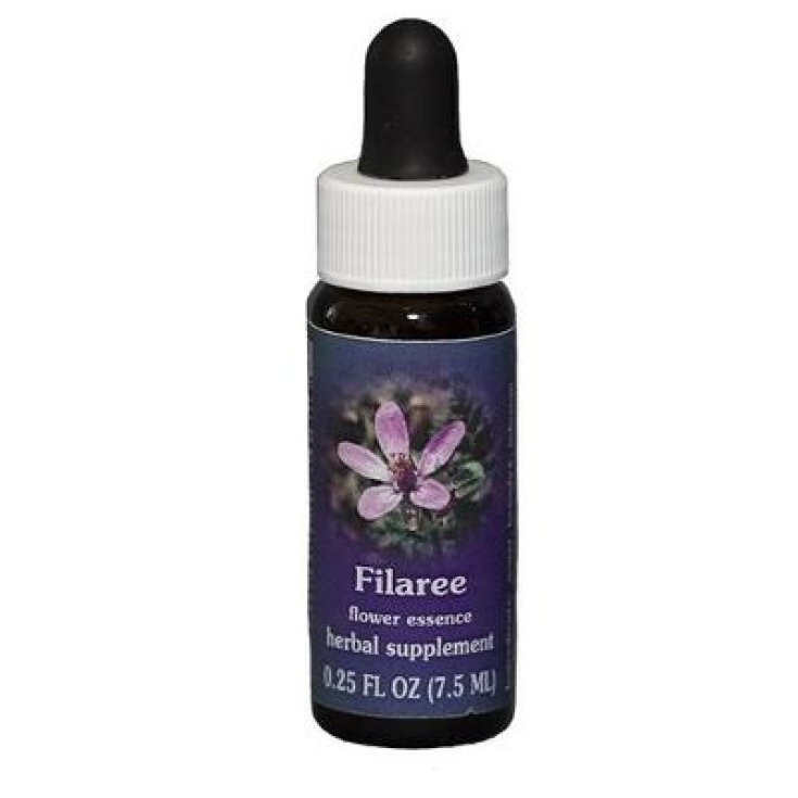 Natur Filaree (Erodium Cicutarium) Kalifornische Essenzen 7,4ml