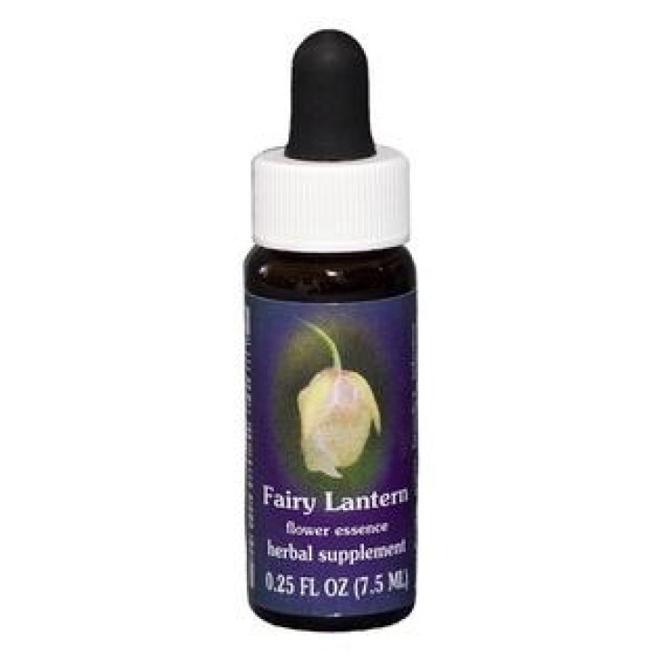 Fairy Lantern Californian Single Essence 7,4ml