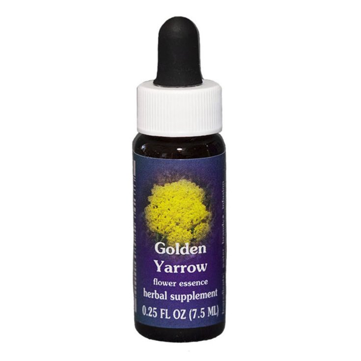 Natur Goldene Schafgarbe (Achillea Filipendulina) Kalifornische Essenzen 7,4ml