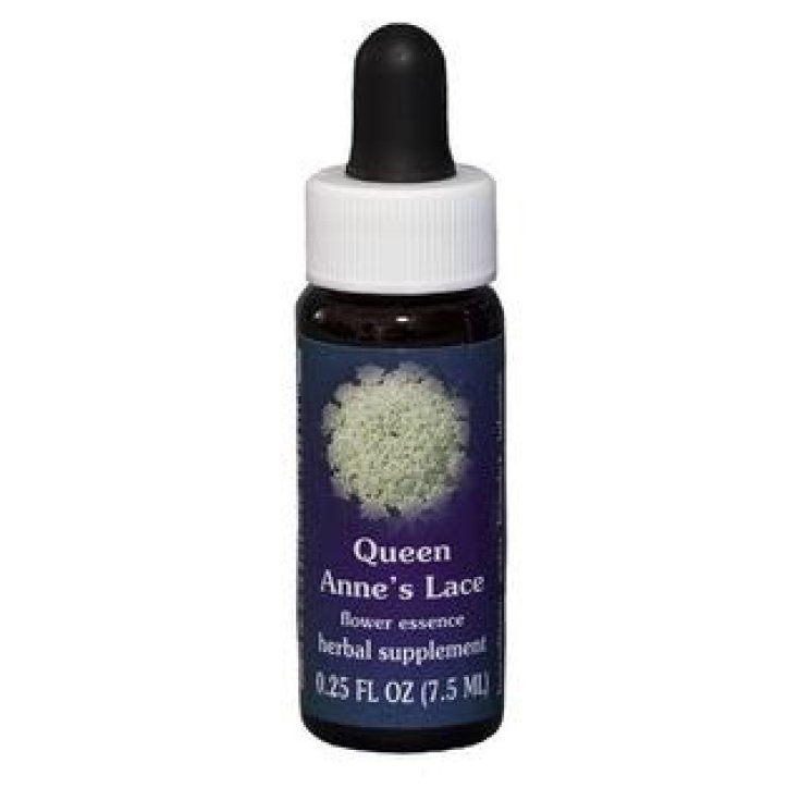 Natur Queen Anne's Lace (Daucus Carota) Kalifornische Essenzen 7,4ml