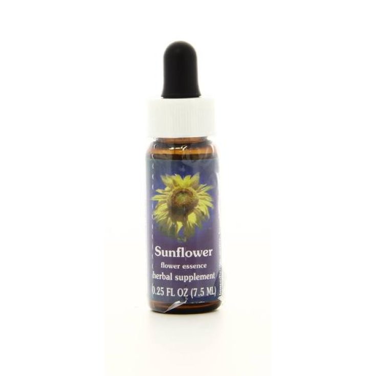 Natur Sonnenblume (Helianthus Annuus) Kalifornische Essenzen 7,4ml