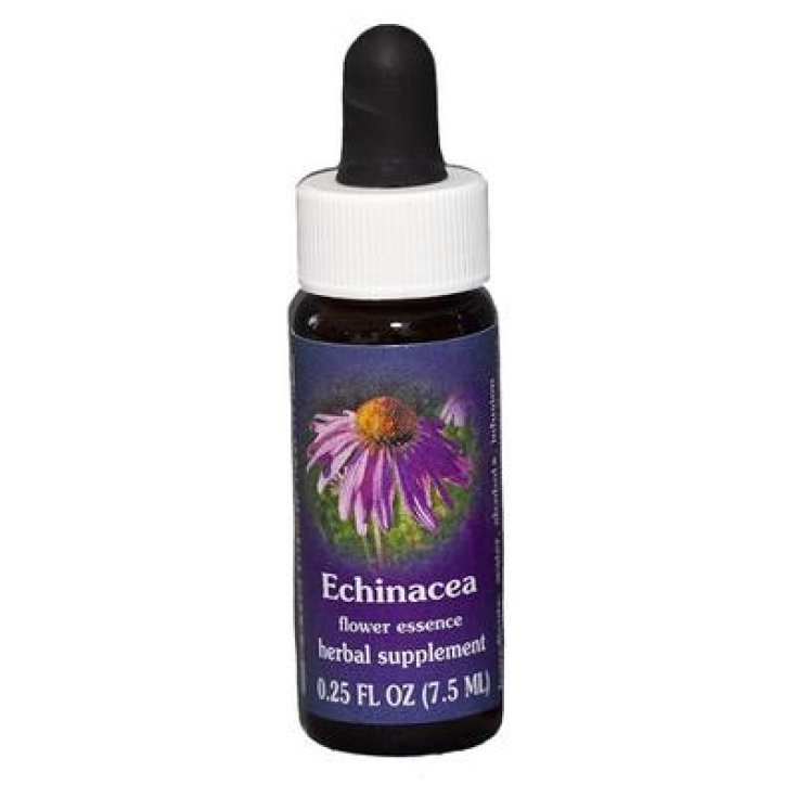 Natur Echinacea (Echinacea Purpurea) Kalifornische Essenzen 7,4ml