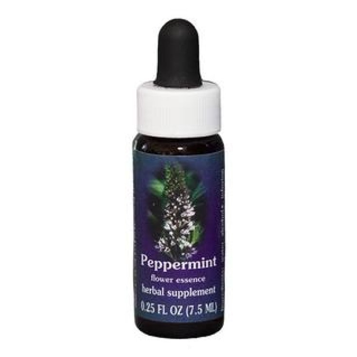 Natur Pfefferminze (Mentha Piperita) Kalifornische Essenzen 7,4ml