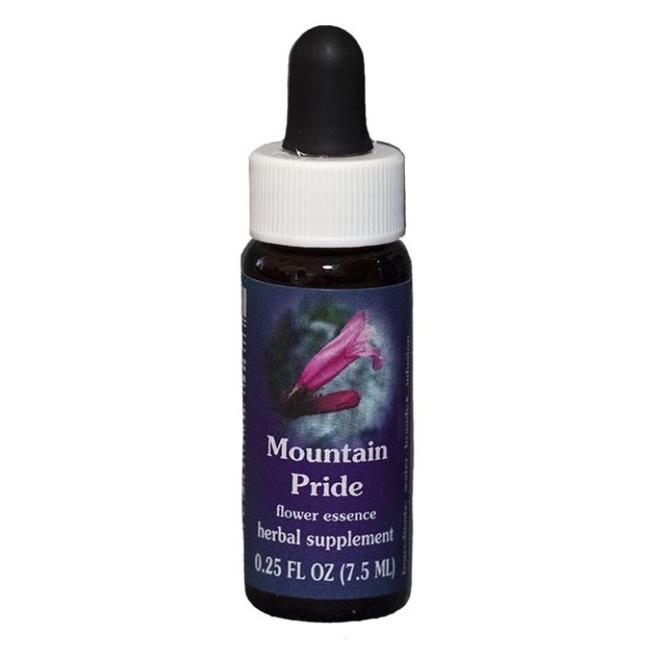 Natur Mountain Pride (Penstemon Newberry) Kalifornische Essenzen7,4ml