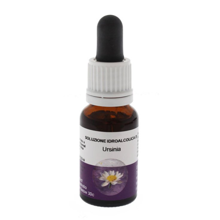 Natur Ursinia Australische Essenzen 15ml