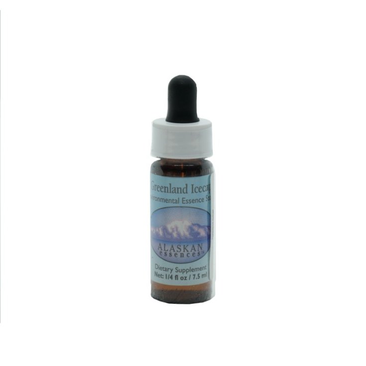 Grönlandeiskappe Blütenessenzen von Alaska 7,4ml