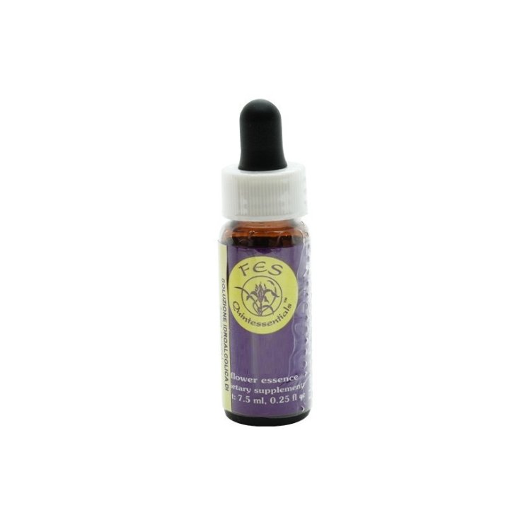 Natur Blazing Star Kalifornische Blütenessenzen 7,4ml