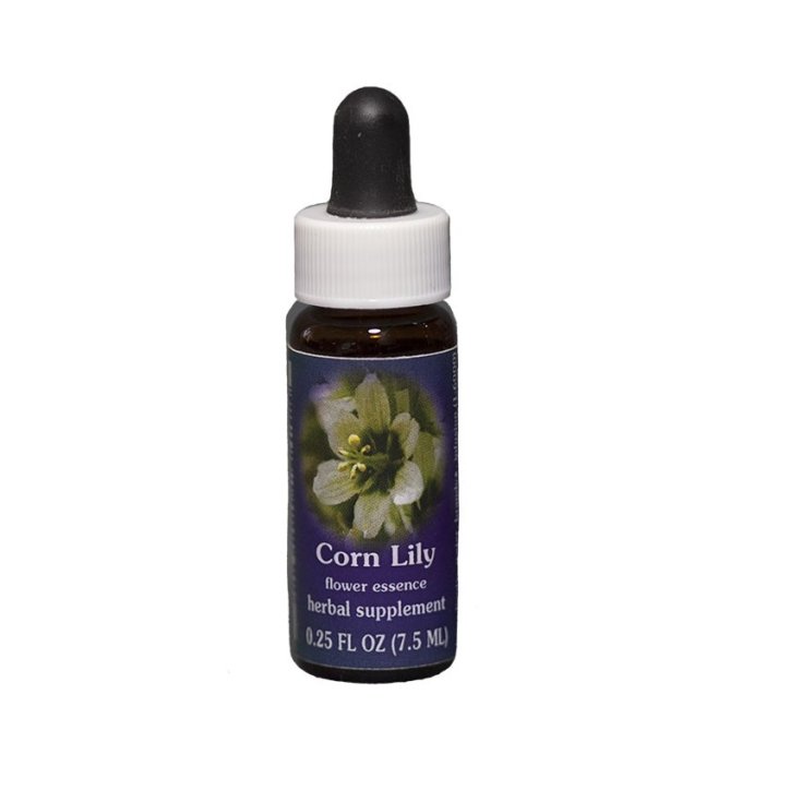 Natur Kornlilie Kalifornische Blütenessenzen 7,4ml