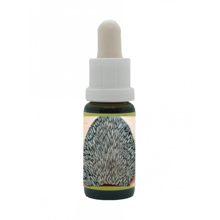 Koralle 15ml Korte