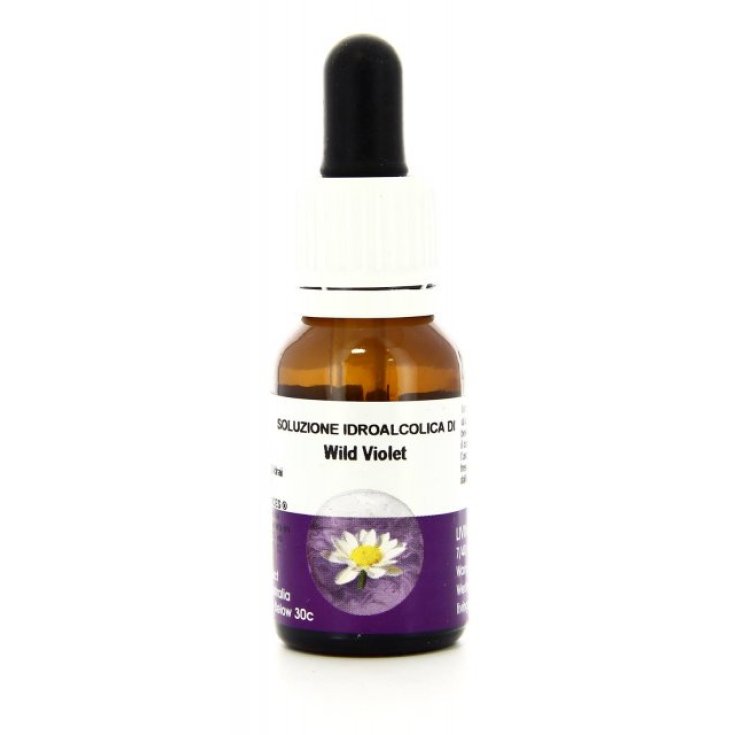 Wild Violet Australische Blütenessenzen 15ml