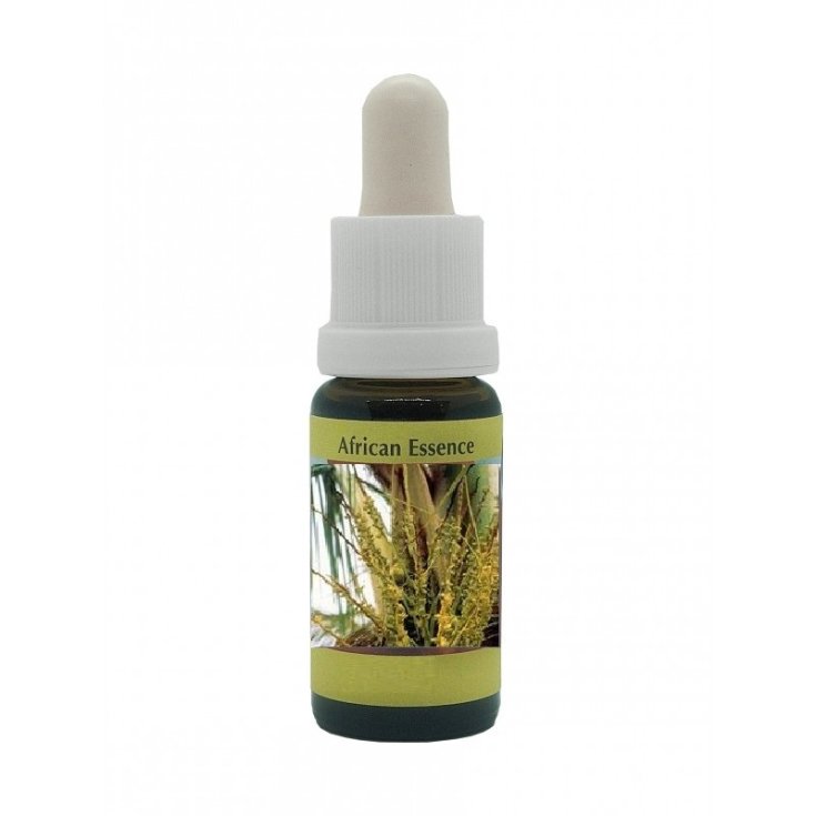 Kokospalme Essenzen Korte 15ml