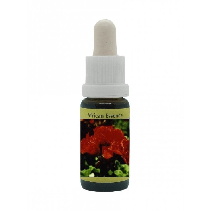 Geranium Essenzen Korte 15ml