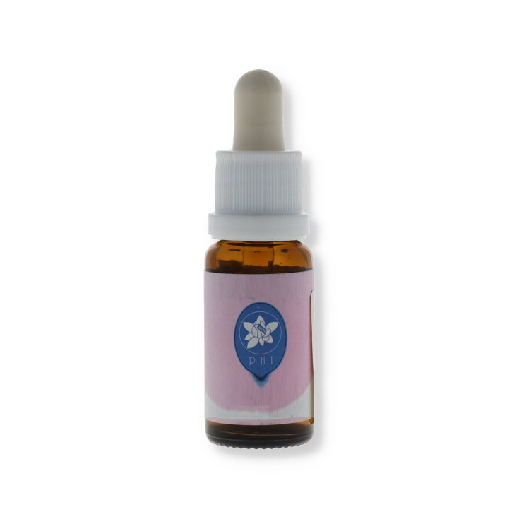 Burnet Rose Essenzen Korte 15ml