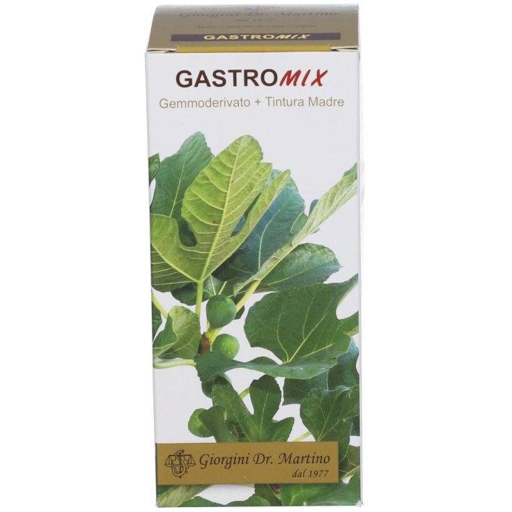 Gastrix Alkoholfreie Flüssigkeit Dr. Giorgini 100ml