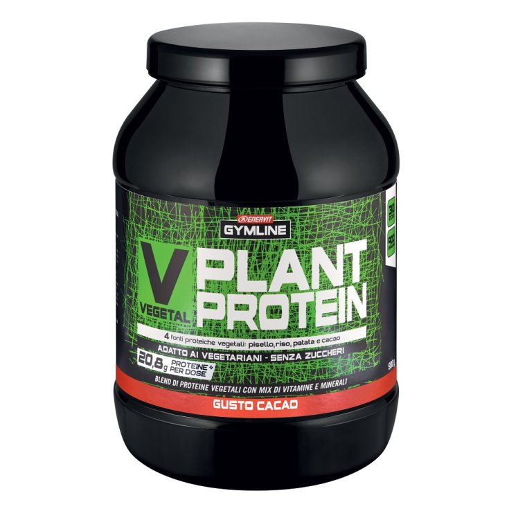 V-Vegetal Plant Protein Blend Kakaogeschmack Enervit Gymline 900g