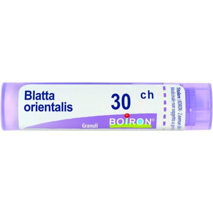 Kakerlake Orientalis 30ch Boiron Granulat 4g