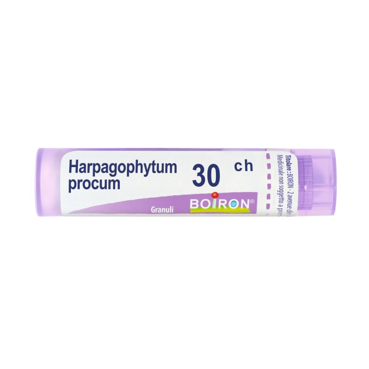 Boiron Harpagophytum Procum 30ch Granulat